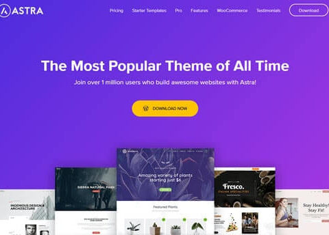 Best Theme For Your Website