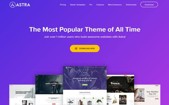 Best Theme For Your Website