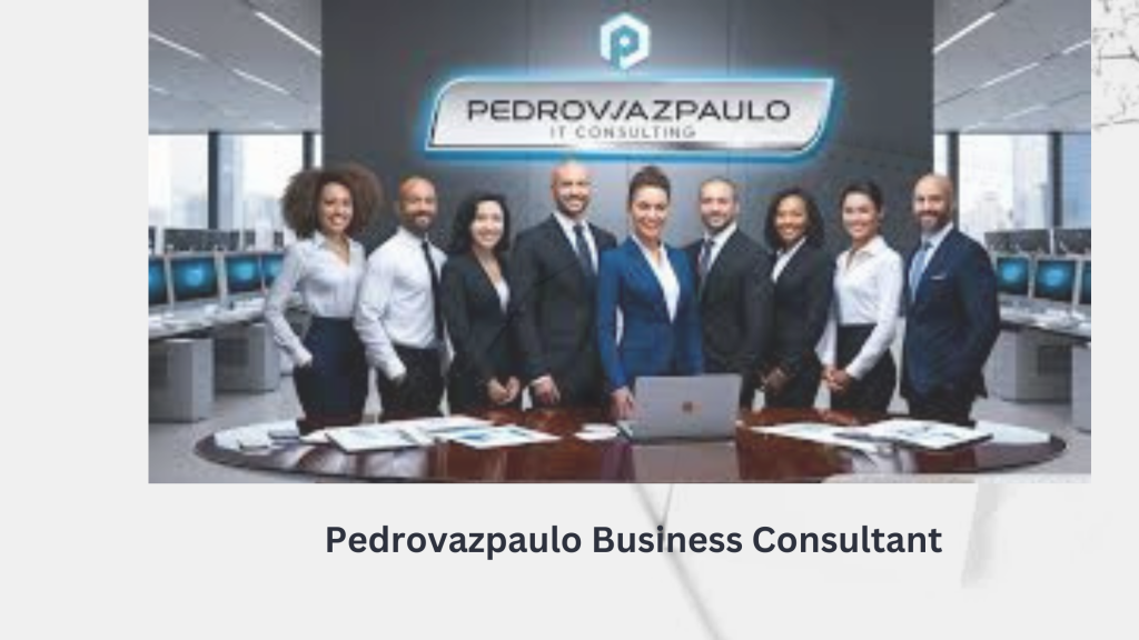 Pedrovazpaulo Business Consultant